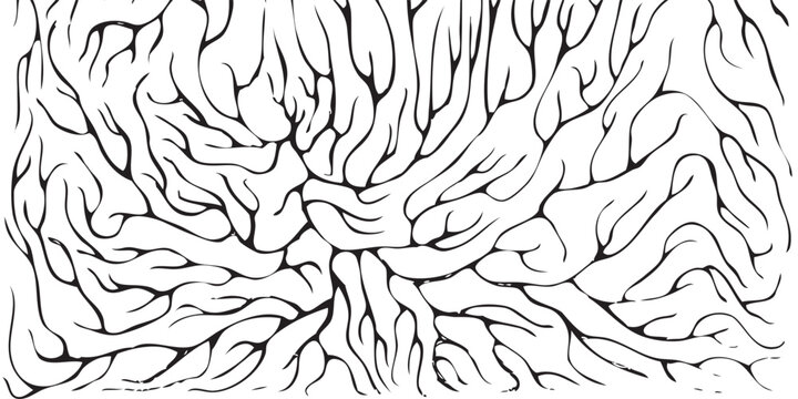 Intricate Network of Brain Gyrus and Sulcus Pattern.