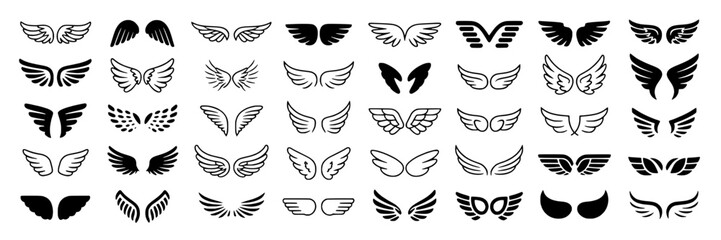 Fototapeta premium Butterflies wing pattern collection with black and white sets showcasing different shapes, styles, and sizes for design, decoration, or scientific reference
