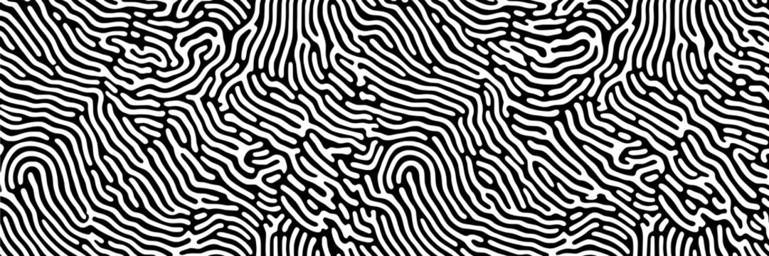 Fingerprint abstract pattern with black wavy lines and ridges on a white background, intricate maze-like design, stylized surface texture for security, identification, biometrics, graphic art, tech el