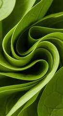 Close-up View of Curled Green Leaves with Intricate Texture and Vibrant Color
