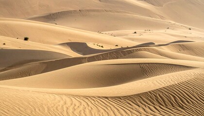 Golden Sand Dunes in Arid Desert Landscape.