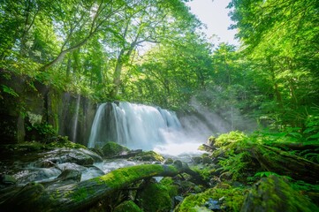 waterfall in the forest © Jun Mori