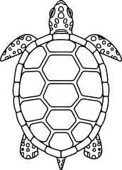 Turtle shell illustration from directly above showing detailed patterns on its flippers and head in a graphic vector format
