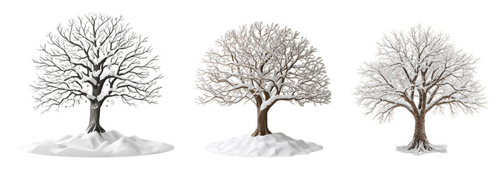 Beautiful snow-covered tree isolated on transparent background