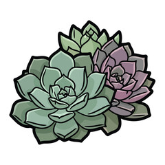 Obraz premium Beautiful succulent plants illustration showcasing vibrant green and purple leaves from a front viewpoint, resembling a botanical graphic design.