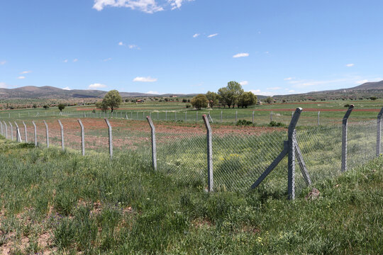 garden surrounded by wire fence