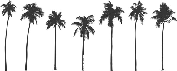Detailed black silhouettes of seven tall palm trees with textured fronds and trunks against a clean white background evoking tropical landscapes © MdMoktar