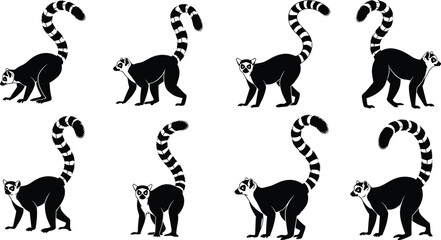 Ring tailed lemur silhouette set showing wildlife poses, exotic animal illustration vector collection design pack © MstAnowara