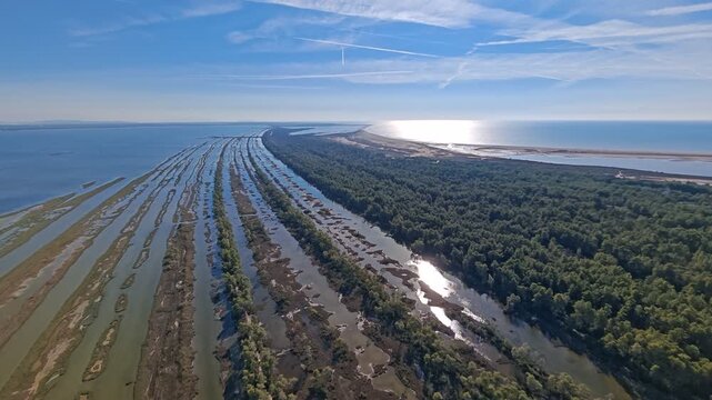 Aerial view of Divjake Karavasta area in Albania showing wetland biotope with large bird colonies, lagoons, and protected natural habitat