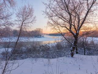 winter landscape with trees and snow