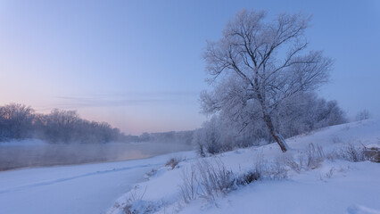 Obraz premium winter landscape with trees and snow