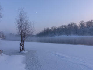 Obraz premium winter landscape with trees