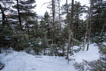 Fototapeta premium Yatsugatake Mountains, Kitayokodake Peak