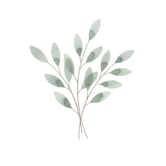 Obraz premium Botanical illustration of a watercolor green plant branch. Aesthetic decorative element for wedding invitation. Gentle hand drawn foliage design.