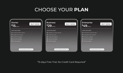 Subscription Price Plan Infographic Template. Subscription plan for online service, SaaS concept software Vector.Business subscription plan web ui element.