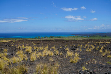 ハワイ島　溶岩台地と海