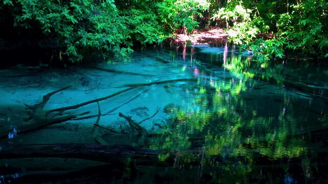 Sra Morakot Blue Pool at Krabi Province, Thailand. Clear emerald pond in tropical forest. The roots of trees with a beautiful lagoon in the rain-forest. 