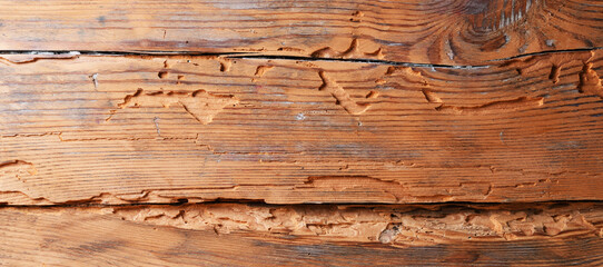 Fototapeta premium A close-up of old, rough, weathered wood grain. Deep cracks and jagged edges give it a rustic, vintage look.