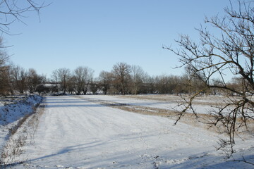 Obraz premium A snowy field with trees