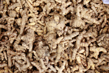 Fresh organic ginger is now available at the market.