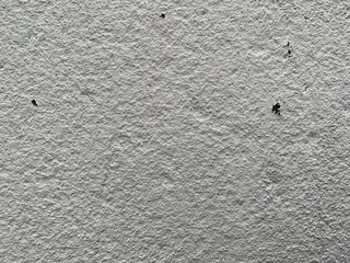 close-up of a white street wall, white background © McFly