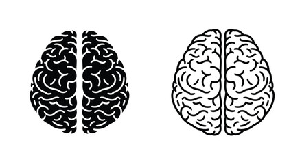 Detailed brain illustration with complex lobes a striking black silhouette © MDRAYHAN