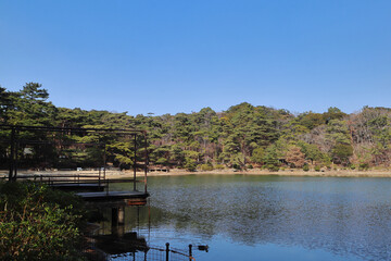 Fototapeta premium 再度公園（神戸）