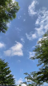 Fast moving white clouds across a bright blue sky framed by green tree leaves in a vertical format.
