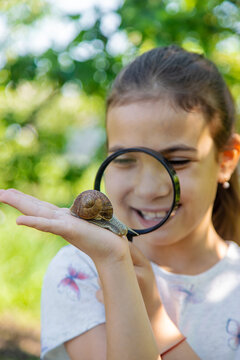 The child examines the snails on the tree. Selective focus.
