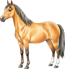 Obraz premium Detailed illustration of a golden palomino horse standing side view on transparent background