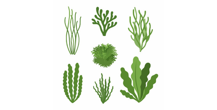 Isolated green algae flat vector elements set for scientific and infographic design