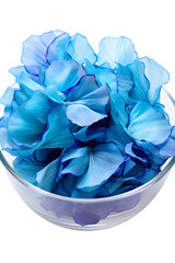 Small glass bowl of bright blue and turquoise dyed flower petals, modern decor style, Isolated to Transparent Background