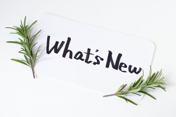 新着情報の手書き文字