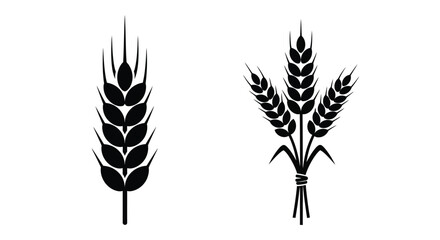 Elegant wheat stalks in black and white a striking botanical silhouette © md