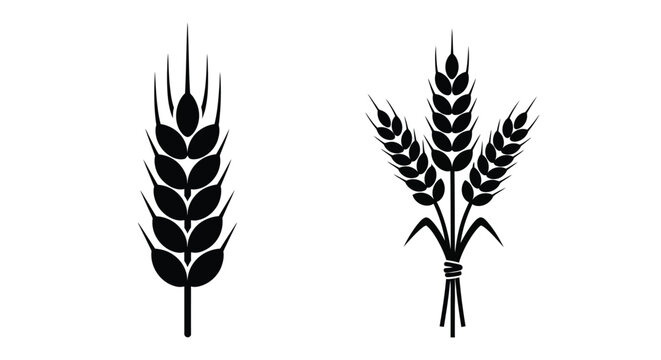 Elegant wheat stalks in black and white a striking botanical silhouette