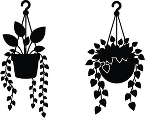 Potted houseplant trio vector illustration featuring Chinese money plant and heart leaf varieties. © Munna_SH