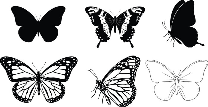 Swallowtail Butterfly」の写真素材 | 144,063件の無料イラスト画像