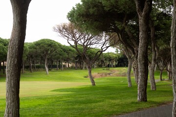 Obraz premium Beautiful View of Green Golf Field with Blue Sky.