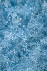 Fototapeta premium Close-up view of intricate snowflakes on a blue background, showcasing unique crystalline structures and delicate patterns of winter precipitation