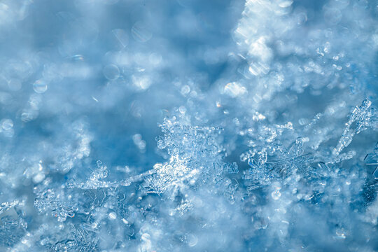 Close-up view of intricate snowflakes on a frozen surface, showcasing delicate patterns and textures in shades of blue and white, with a soft blurred background