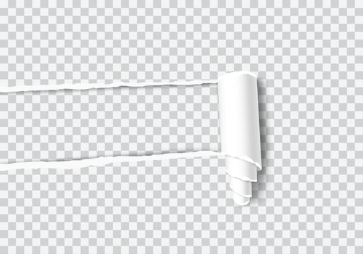 Horizontal torn paper strip with rolled edges revealing transparent background, realistic ripped paper banner set.