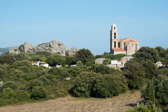 CORSE - PIANATTOLI - CALDARELLO