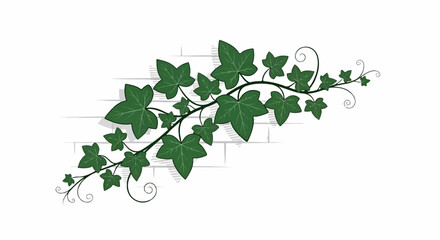 Illustration of a winding vine with dark green leaves and tendrils against a subtle light grey brick wall