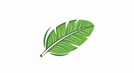Obraz premium Stylized illustration of a vibrant green banana leaf with white vein details on a clean white background