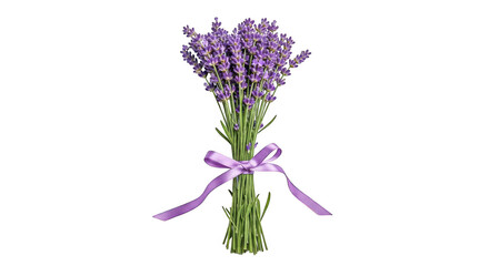 Obraz premium A bouquet of fresh lavender flowers tied with a purple ribbon isolated on transparent background