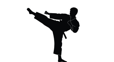 Silhouette of a martial artist performing a dynamic kick in a karate stance © msunny93