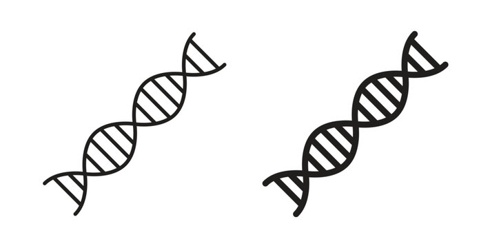 DNA icon in line design. editable stroke icons pack