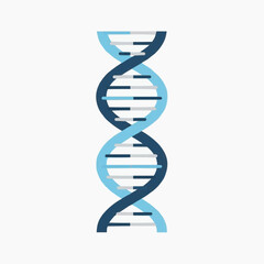 A vector graphic illustration of a DNA double helix structure