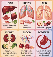 Infographic Showing Organs And Their Associated Healthy Foods In English And Unreadable Text liver lungs