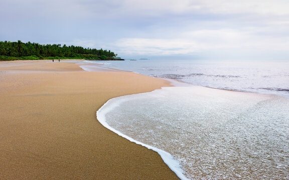 Sandy beach with palm trees and low tide of the Arabian Sea. Thottada, Kannur, Kerala, India.
